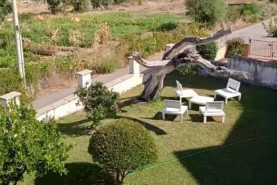 Image de Le coin de Lolli La Muddizza