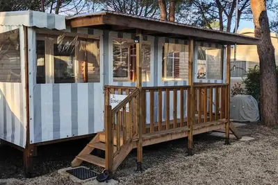 Image de Mobile Home 'Au Bonheur Des Landes' avec piscine partagée, terrasse privée et climatisation