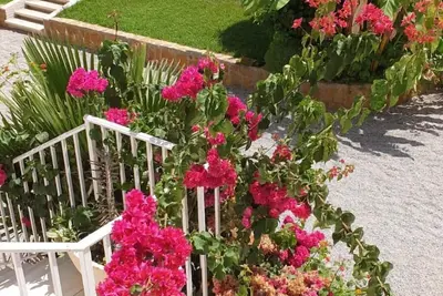 Image de Casa Antonio - San Juan de los Terreros, Andalucía