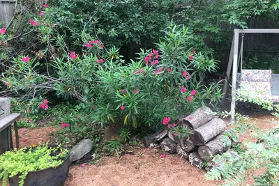 Image de Uniquely decorated 2-bedroom artist’s haven boasts secret garden