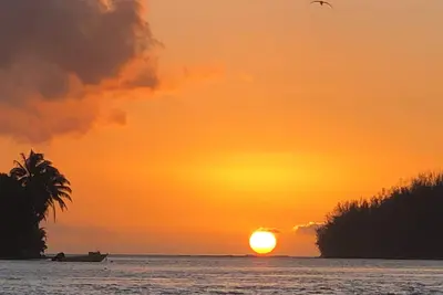 Image de Beach Lifestyle Bungalow - Steps from the beach, your Dream Escape Starts Here!