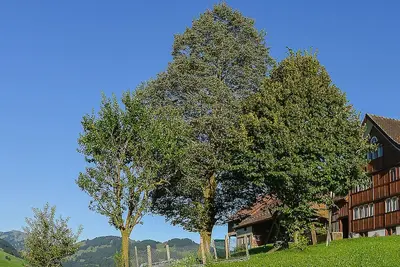 Image de Appartement de vacances Brülisau pour 1 - 5 personnes avec 2 chambres à coucher - Ferme