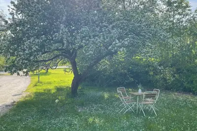 Image de Large charming house with calm and green surroundings