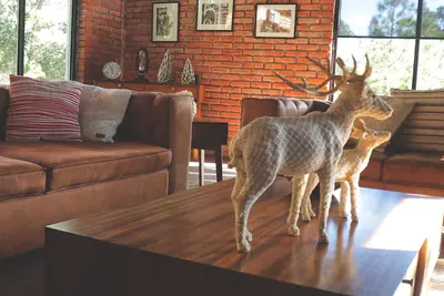 Image de Bimba country house, heart of the forest, Huasca