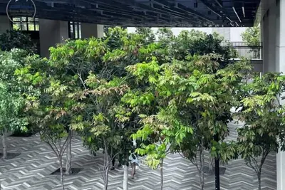 Image de Premium High Floor Family Suite Infinity Pool #Kl