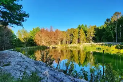 Image de Summer Farmhouse-Hunting, Stargazing, Bbq-Sleeps 8