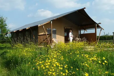 Image de Braeburn, set in a peaceful orchard just ten minutes from Glastonbury