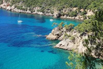 Image de Orangeraie 2 - Appartement 2 pièces climatisé\nProche Port et Plage Renecros