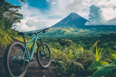 Bike & Bed - Sprinter cabin 02