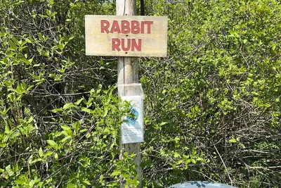 Cute little campground in Petoskey with nature views