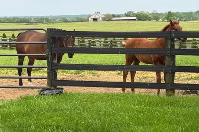 Image de 3 bedroom cottage on horse farm close to Kentucky Horse Park, Keeneland, the Ark