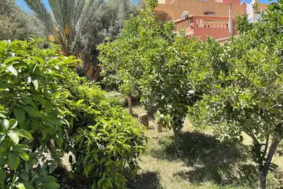Image de Dar Mona– Your Tranquil Escape Near Taroudant\nJust 3km from Taroudant center