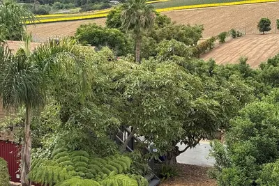 Image de Bonsall-Oceanside Treehouse Barn Studio  Retreat
