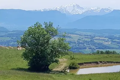 Image de Un petit nid douillet