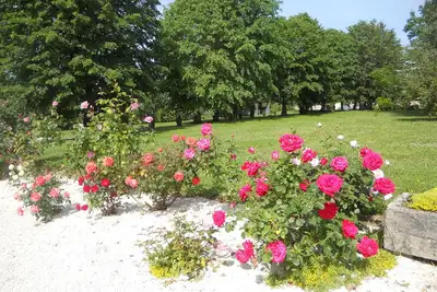 Image de La maison a l'ombre des tilleuls