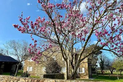 Image de Enjoyable 6-bedroom house with garden in Tol, Castropol