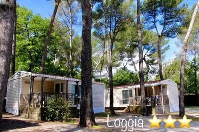Image de ZEcamping 3* toboggans piscine dog friendly locatif 38m2 4 pers
