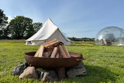 Image de Cozy Dog Friendly Hot Tent With Log Burner