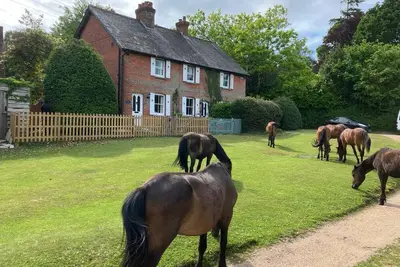 Image de Cottage-Famille-Salle de bain privée-Vue sur la campagne-Yew Tree Cottage