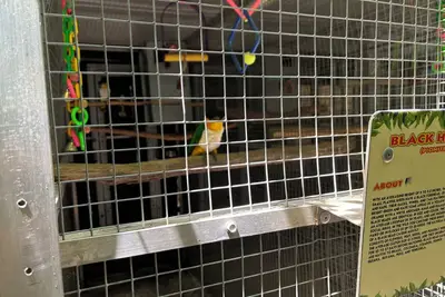 Image de 2-bedroom building in amazing Atlantic with Ac, WiFi. Relax and enjoy