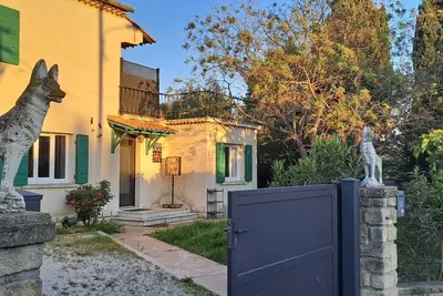 Image de Les loups blancs en Provence