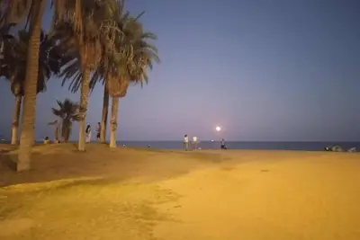 Image de Upla - Urban Playa Luz 1