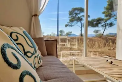 Image de Les flamants roses de la Capte T3