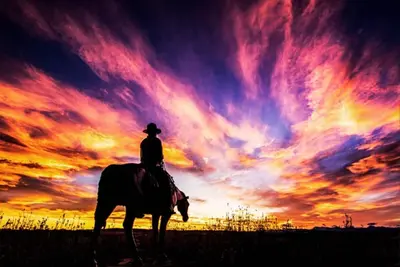 Image de Cozy 1BRSuite w/ KingBed + 2x sofa beds in Cochrane, Alberta