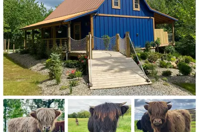 Image de The Lodge at Dogwood Ridge Farms: Highland Cow and Mini Donkey Farm