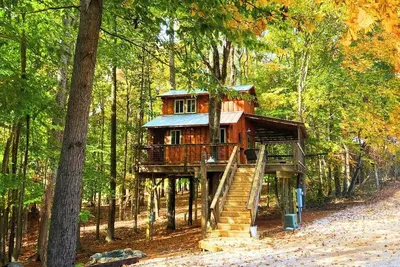 Image de Cherry Treesort “Traci’s Treasure”