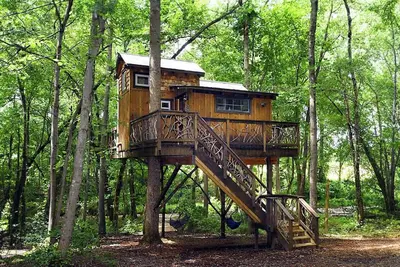 Image de Cherry Treesort \"Miss Molly\"