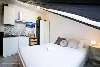 [Metro Dante] Raphael Attic Room