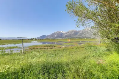 Image de Sierra Nevada Mtn Views: Gardnerville Getaway
