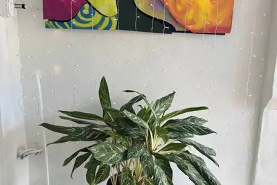 Image de Salo Casa Verde Studio