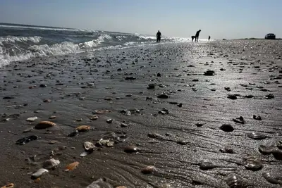 Image de Charming 2/Bedroom Cottage Centrally in The Middle of The Island. On Back Road.