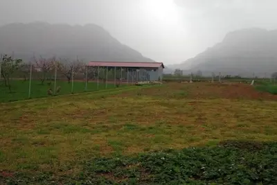 Image de Villa with Garden View