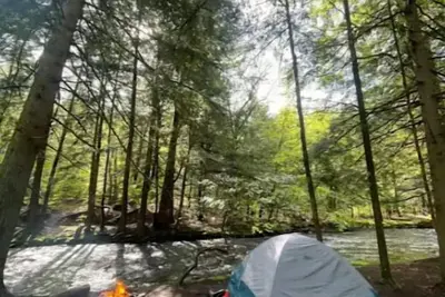 Image de Akuniel & Guatu Ninaru -River Sites Taino Woods