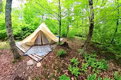 Image de Atabeyra Bell Tent Taino Woods 15 mins to Bethel Woods Concerts, Casino, Falls