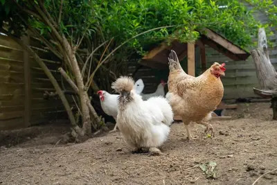 Image de Slow travel, but also good!