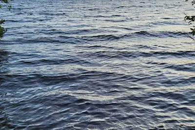 Image de Railway Road Bed& Breakfast Shawnigan Lake, Bc, minutes walk to lake.