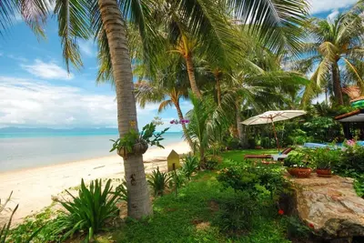 Image de Oasis en bord de mer avec piscine privée sur la plage de Bang Por à Samui