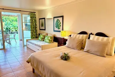 Image de Studio vue Jardin Tropical - Village Vacances