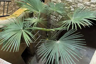 Image de Appartement