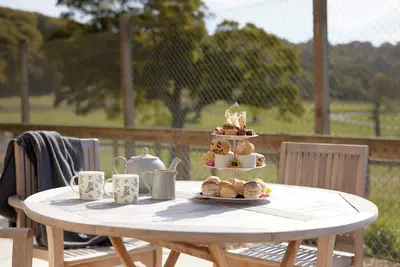 Image de Prepare for a luxury experience with unrivalled views of Longleat's Safari Park.