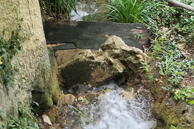 Image de Produit rare : Mas provençal haut de gamme en plein cœur des vignes