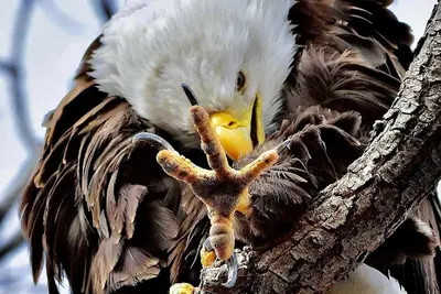 Image de Apartment in the Heart of Kenai just 1. 2 miles from the mouth of the Kenai River