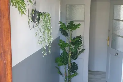 Image de Appartement Strasbourg. Animaux de compagnie acceptés!