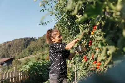 Image de Luxury apartment with private sauna and terrace