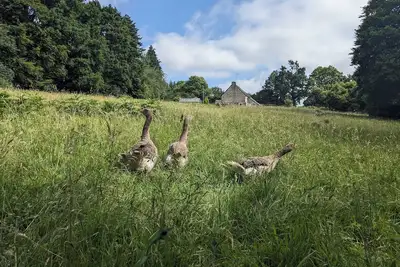 Image de Le gîte du Lieu Ressource. Un endroit paisible au cœur de la campagne normande.