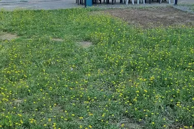 Image de Mobil-home au calme avec Jardin & terrasse privée, à proximité de la plage.